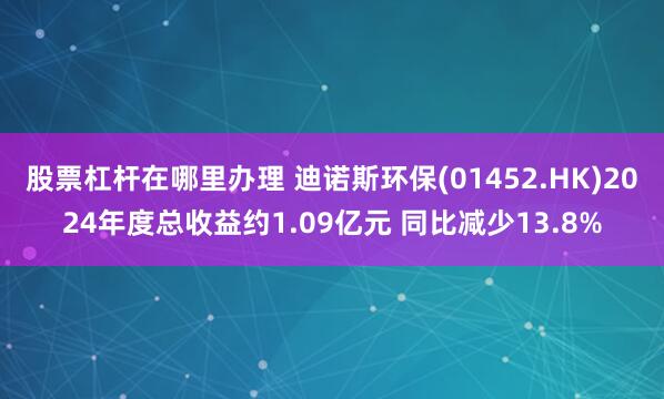 股票杠杆在哪里办理 迪诺斯环保(01452.HK)2024年度总收益约1.09亿元 同比减少13.8%