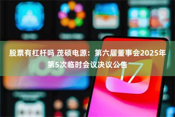股票有杠杆吗 茂硕电源：第六届董事会2025年第5次临时会议决议公告