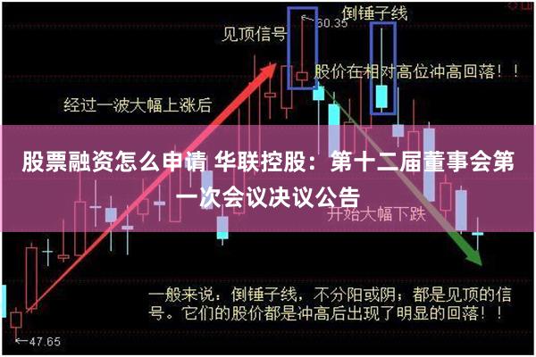 股票融资怎么申请 华联控股：第十二届董事会第一次会议决议公告