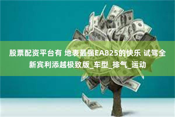股票配资平台有 地表最强EA825的快乐 试驾全新宾利添越极致版_车型_排气_运动