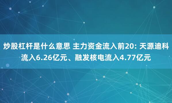 炒股杠杆是什么意思 主力资金流入前20: 天源迪科流入6.26亿元、融发核电流入4.77亿元