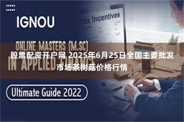 股票配资开户网 2025年6月25日全国主要批发市场茶树菇价格行情